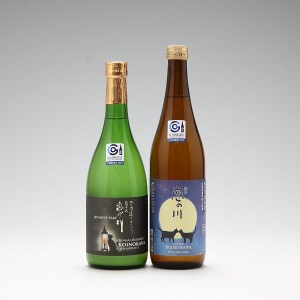 鯉川酒造「恋の川」限定猫ラベル 720ml×2本 セット 日本酒 地酒 1725年創業（享保10年）老舗酒蔵 山形 庄内町