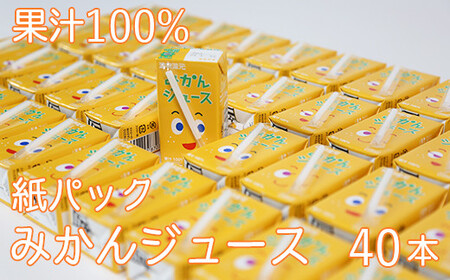  みかんジュース オレンジジュース 果汁100% 紙パック 40本 ジュース 詰め合わせ パック ／ 果汁100％ 紙パック みかんジュース 125ml×40本＜131-010＞