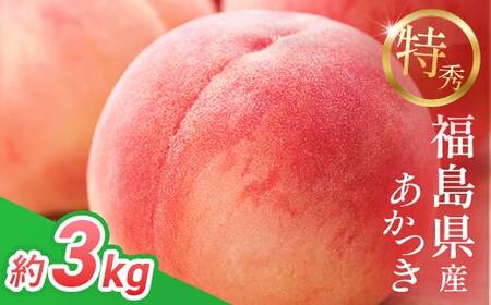 桃 あかつき 約3kg 2026年出荷分 F20C-278
