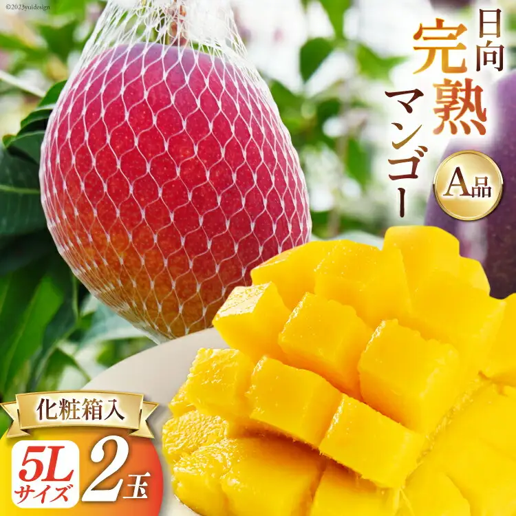 【2026年夏発送】 宮崎 完熟 マンゴー 秀品 A品 5L×2玉 化粧箱入り [宮崎県農業協同組合日向地区本部（販売課） 宮崎県 日向市 452060663]