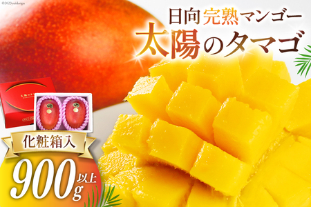 マンゴー 太陽のタマゴ 秀品 900g以上 [452060664] マンゴー