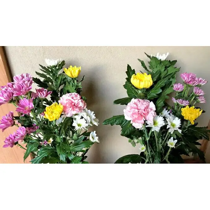 定期便 12回 12ヶ月 お供え 生花  |    