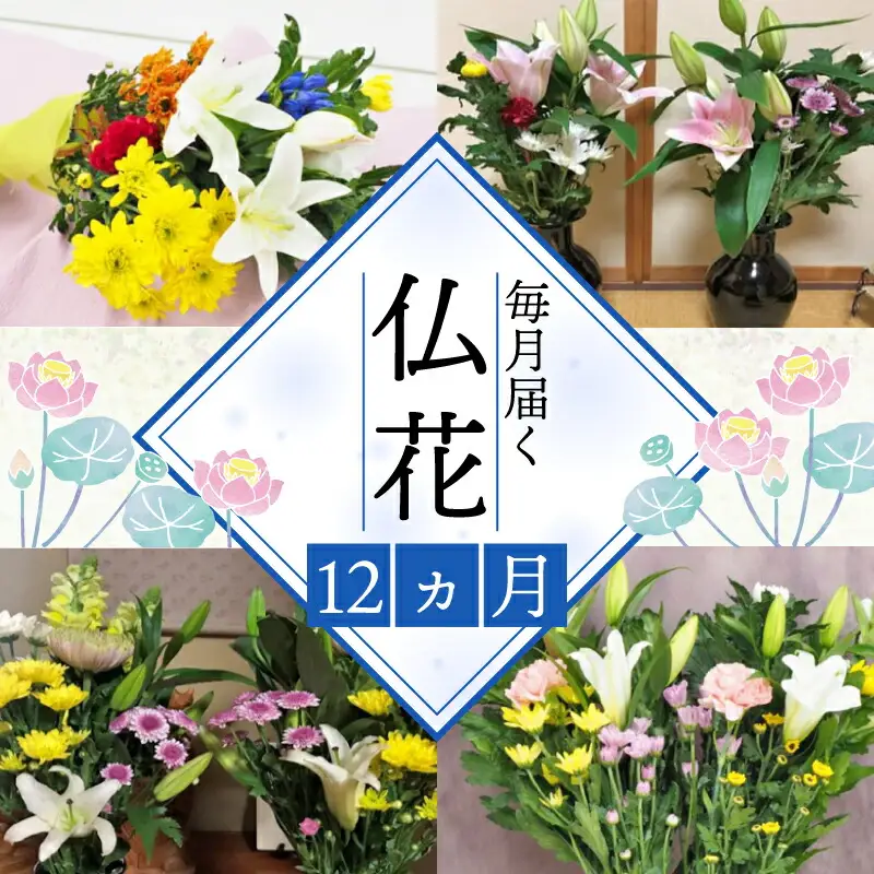 定期便  12回 仏花 お花  生花 組花 2束  |    