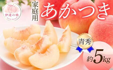 【2026年出荷分先行予約】福島県産 家庭用 青秀 あかつき 約5kg (15～18玉) ふくしま未来農業協同組合 青秀 光センサー選別 不揃い 伊達の桃 桃 フルーツ 果物 もも モモ momo F20C-277