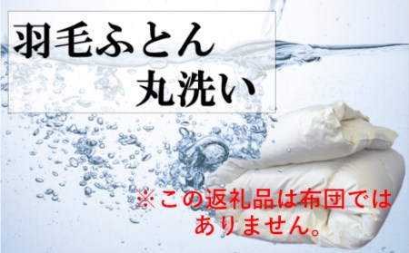 U01　羽毛布団丸洗いクリーニング　防ダニ加工付き（シングル1枚）