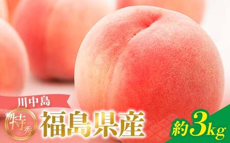 桃 川中島 約5kg 特秀 桃 2026年出荷分 F20C-126
