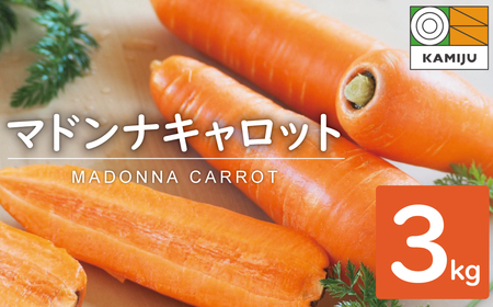 【予約受付】＜フジテレビ『どっちのふるさと？』で紹介されました！＞こどもも食べられる甘み！ジュースにしても美味しい！「マドンナキャロット」 3kg にんじん 人参 ニンジン 野菜 やさい 国産 碧南市 健康 甘い 先行予約 旬 特産 高評価 高リピート 人気 2026年度発送 H105-122