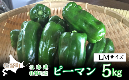 ＜2026年7月下旬よりお届け＞北海道壮瞥町産 ピーマン 約5kg SBTL014