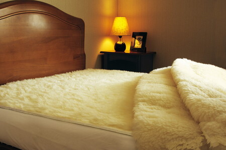 The PREMIUM Sofwool 掛け毛布シングル (140×190cm) | 毛布 [0968]