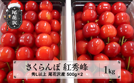 先行予約 さくらんぼ 紅秀峰 1kg 秀 Lサイズ以上 令和8年産 kb-bskzx1000