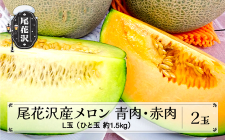 先行予約 メロン 2種食べ比べセット 2玉 令和8年産 2026年産 7月下旬～8月上旬頃発送 グレース クインシー 青肉メロン 赤肉メロン kb-mlrbx2