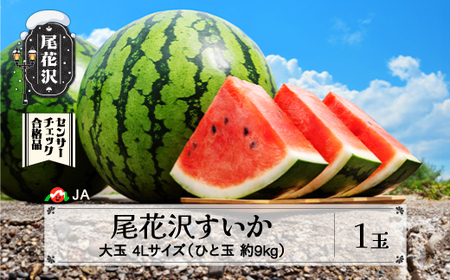 尾花沢すいか スイカ 4Lサイズ×1玉 令和8年産 ja-su4xx1