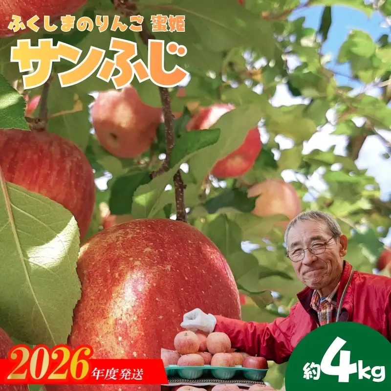 No.0945 ふくしまのりんご蜜姫「サンふじ」約4kg化粧箱入【2026年度発送】