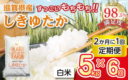 【7年産】 しきゆたか 白米 定期便 12カ月で5㎏を6回お届け(2カ月に1回)  すっごいもちもち【C012W1】 近江米 米定期便