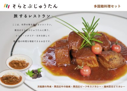 【多国籍料理４種セット】～黒田庄ビーフ牛スジカレー/播州百日どりカレー/黒田庄和牛の佃煮/洋風豚の角煮～ 14-13