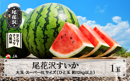 尾花沢すいか スイカ スーパー6Lサイズ×1玉 令和8年産 ja-sus6x1