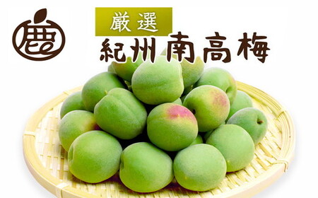 ＜6月発送＞厳選 紀州南高梅(青梅)1kg+250g（傷み補償分）｜梅 和歌山産