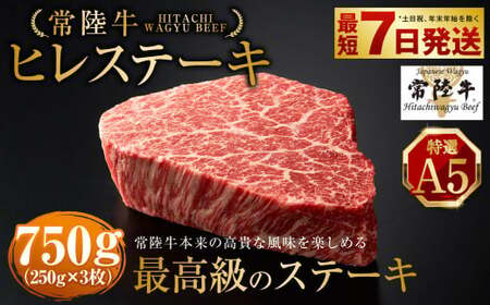 【常陸牛特選A5】 ヒレステーキ 250g×3枚 合計750g アウトドア お肉 肉 牛肉 和牛 黒毛和牛 フィレ フィレ肉 ヒレ ヒレ肉 牛ヒレ ステーキ ステーキカット ブランド 特選 A5 常陸牛 お取り寄せ 冷凍 茨城県 守谷市