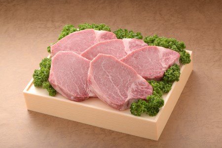 【全8回 定期便】佐賀牛 ヒレ ステーキ 総計7.2kg 999-J413