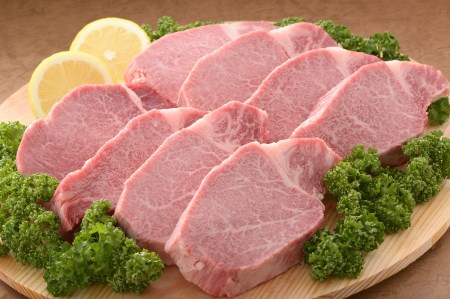 【全10回】佐賀牛 ヒレ ステーキ 定期便 総計14.4kg 999-J414