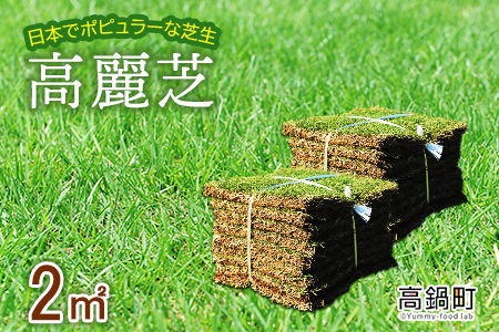 ＜高麗芝 2平方メートル＞2か月以内に順次出荷【c736_hg_x2】