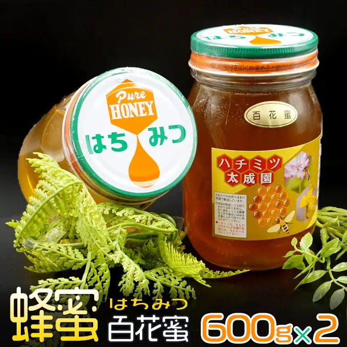 蜂蜜（百花蜜６００ｇ）２個セット K1