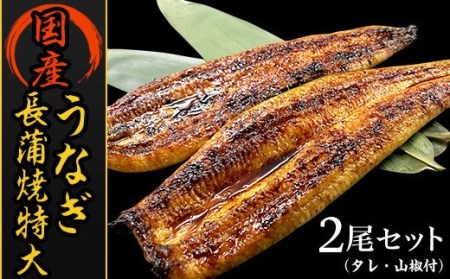 H7-93A国産うなぎ長蒲焼特大2尾セット（タレ・山椒付）