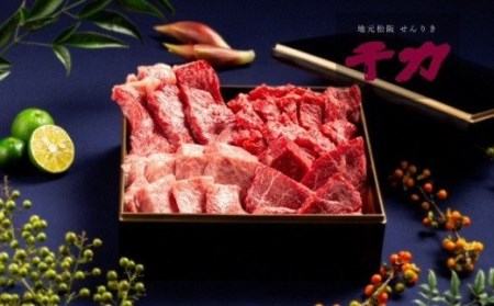 松阪牛豪華焼肉一段重 計800g 牛肉 焼肉【10-45】