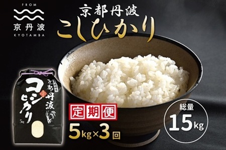 【3回定期便】 京丹波こしひかり 5kg×3 合計15kg 令和7年産[030MB001R]