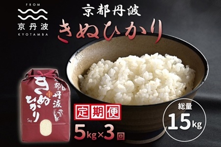 【3回定期便】 京丹波きぬひかり 5kg×3 合計15kg 令和7年産  [030MB002R]