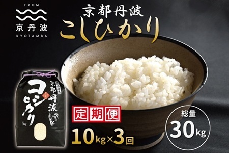 【3回定期便】 京丹波こしひかり 10kg×3 合計30kg 令和7年産  [045MB001R]