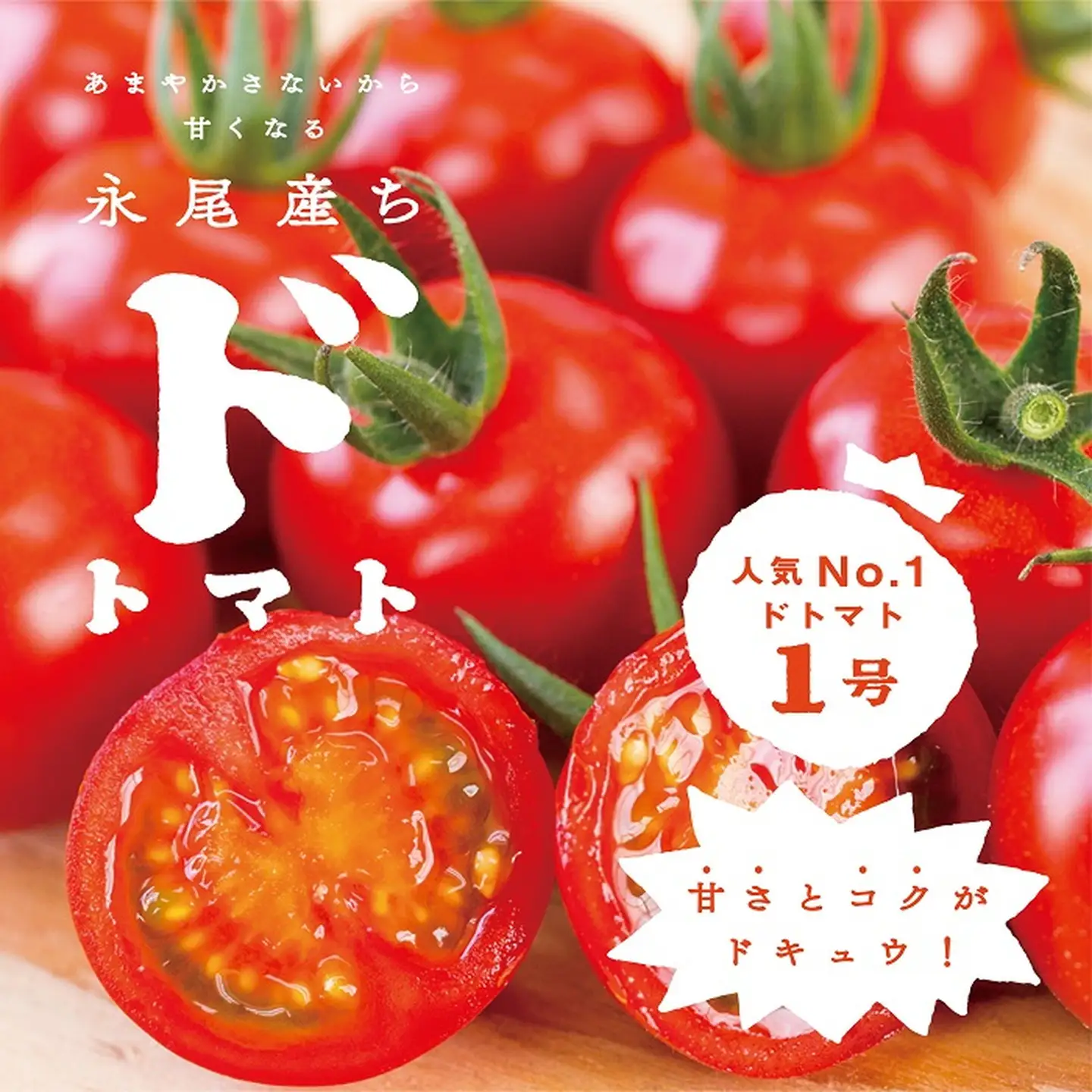 【人気】甘さとコクがド級！ドトマト1号 とまと 野菜：B140-010