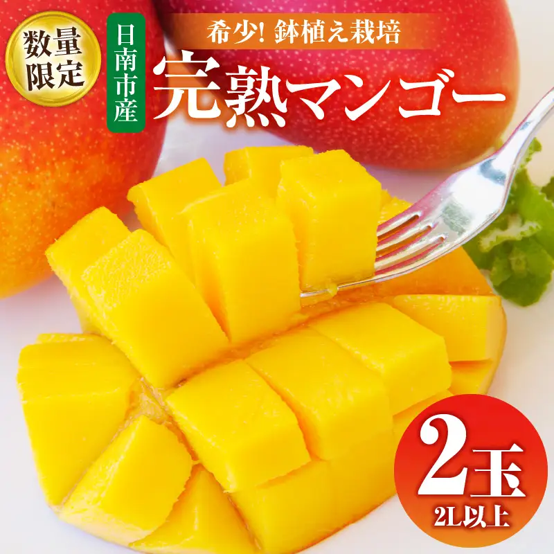 数量限定 希少 完熟マンゴー 鉢植え栽培 2L以上 × 2玉_CB82-23