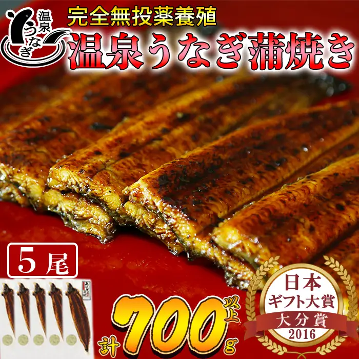 温泉うなぎ 蒲焼 5尾（140gサイズ）【大分水産】 国産 完全無投薬 うなぎ 九州 大分県 うな丼 うな重 冷凍 鰻 ギフト 受賞 土用の丑の日 スタミナ 夏バテ ＜104-009＞