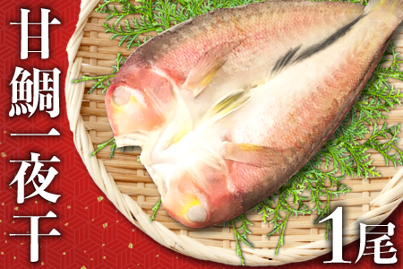 「一日漁」甘鯛一夜干【干物 鯛 甘鯛 1尾 約27cm 約300g 国産 魚介類 魚 あまだい たい タイ 一夜干 一日漁 無添加 天日塩 特産品 お取り寄せ グルメ 贈答 ギフト プレゼント 父の日 母の日】