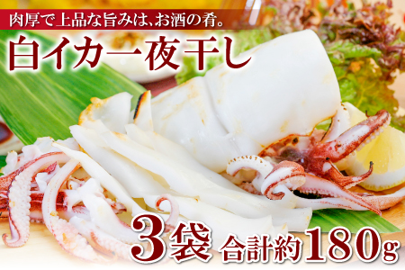 「釣りものケンサキイカに厳選」白いか一夜干（3枚入）【いか一夜干し 白いか 干物 60～80g 3枚 一夜干し 一夜干 イカ いか ケンサキイカ 贅沢 おつまみ お酒の肴 贈答 ギフト 冷凍 父の日 母の日】