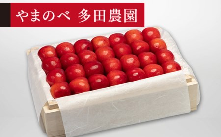 ≪2026年 先行予約≫さくらんぼ 特選紅秀峰 桐箱詰 500g「やまのべ多田農園」 F2Y-1389