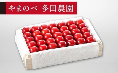 ≪2026年 先行予約≫さくらんぼ 特選「真夏のルビー紅姫」 桐箱詰 約700g「やまのべ多田農園」 F2Y-1394