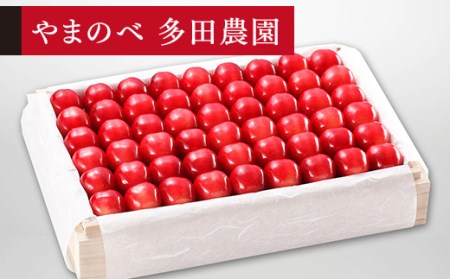 ≪2026年 先行予約≫さくらんぼ 特選ダイアナブライト 桐箱詰 1100g「やまのべ多田農園」 F2Y-1401