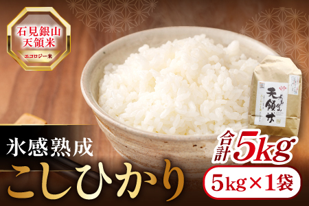 石見銀山天領米（氷感熟成エコロジー米こしひかり）5kg【コシヒカリ 5kg 島根県産 大田市産 米 エコロジー米 氷感熟成 減農薬 減化学肥料】