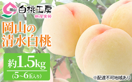 桃 2026年 先行予約 清水 白桃 1.5kg 5～6玉 もも モモ 岡山 国産 フルーツ 果物 ギフト 桃茂実苑 果肉 