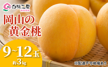 桃 2026年 先行予約 黄金桃 3kg 9～12玉 もも モモ 岡山県産 国産 フルーツ 果物 ギフト 桃茂実苑 果肉 