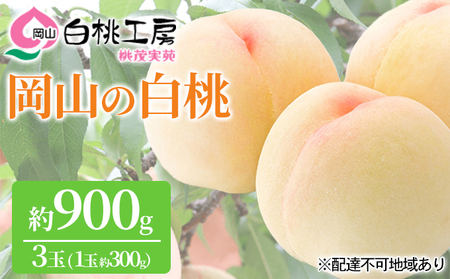 桃 2026年 先行予約 白桃 3玉 合計約900g（1玉約300g） もも モモ 岡山県産 国産 フルーツ 果物 ギフト 桃茂実苑 果肉 