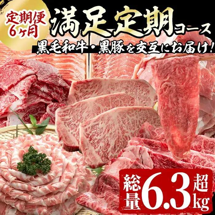 【定期便全6回】黒毛和牛・黒豚を交互にお届け！＜志布志牛・豚 満足定期コース＞計6.3kg超！定期便 牛肉 豚肉 サーロイン スライス 切り落とし 黒豚 ロース 豚ロース 豚バラ しゃぶしゃぶ すき焼き 焼肉 国産 t0100-031
