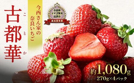 先行予約 いちご 奈良県産 古都華 約1080g 270g×4パック 今西さん家の奈良いちご 冷蔵配送 ことか フルーツ 果物 旬 糖度 産地直送 農家直送 お取り寄せ おやつ デザート 苺 冷蔵  奈良 大和郡山市 BN001