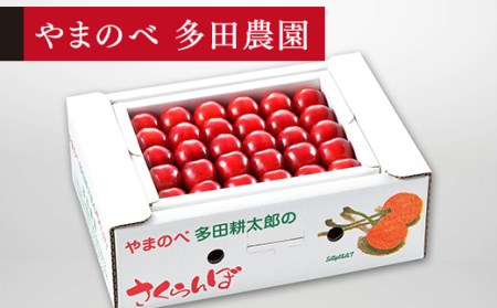 ≪2026年 先行予約≫さくらんぼ 真夏のルビー紅姫 手詰 500g「やまのべ多田農園」 F2Y-1376