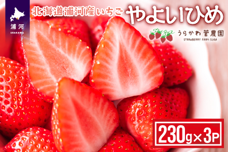 【今が旬！】北海道浦河産いちご「やよいひめ」230g×3P[13-883]