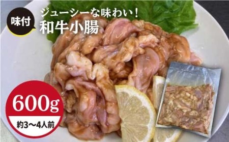 プリプリで味わい深い！ホルモン専門店の和牛小腸 600g（約3~4人前）【三田川ホルモン専門店】吉野ヶ里町 [FAC007]