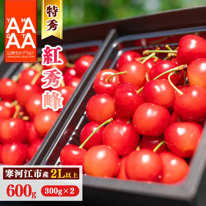 令和8年産 特秀品 さくらんぼ「 紅秀峰 」600g (300g×2パック) 2L以上 2026年産 山形県産 【2026年6月中旬頃～7月上旬頃発送予定】 ※配送不可 沖縄・離島 032-A-AF022