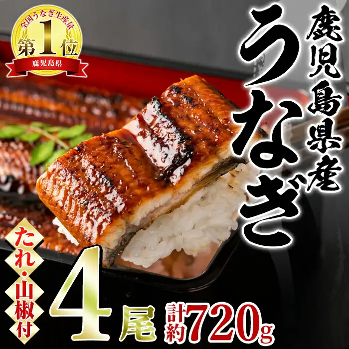 東串良町 うなぎ 蒲焼 (無頭)(4尾・計約720g・タレ、山椒付) 高級 ウナギ 鰻 国産 たれ 鹿児島 ふるさと 人気【アクアおおすみ】【0264363a】